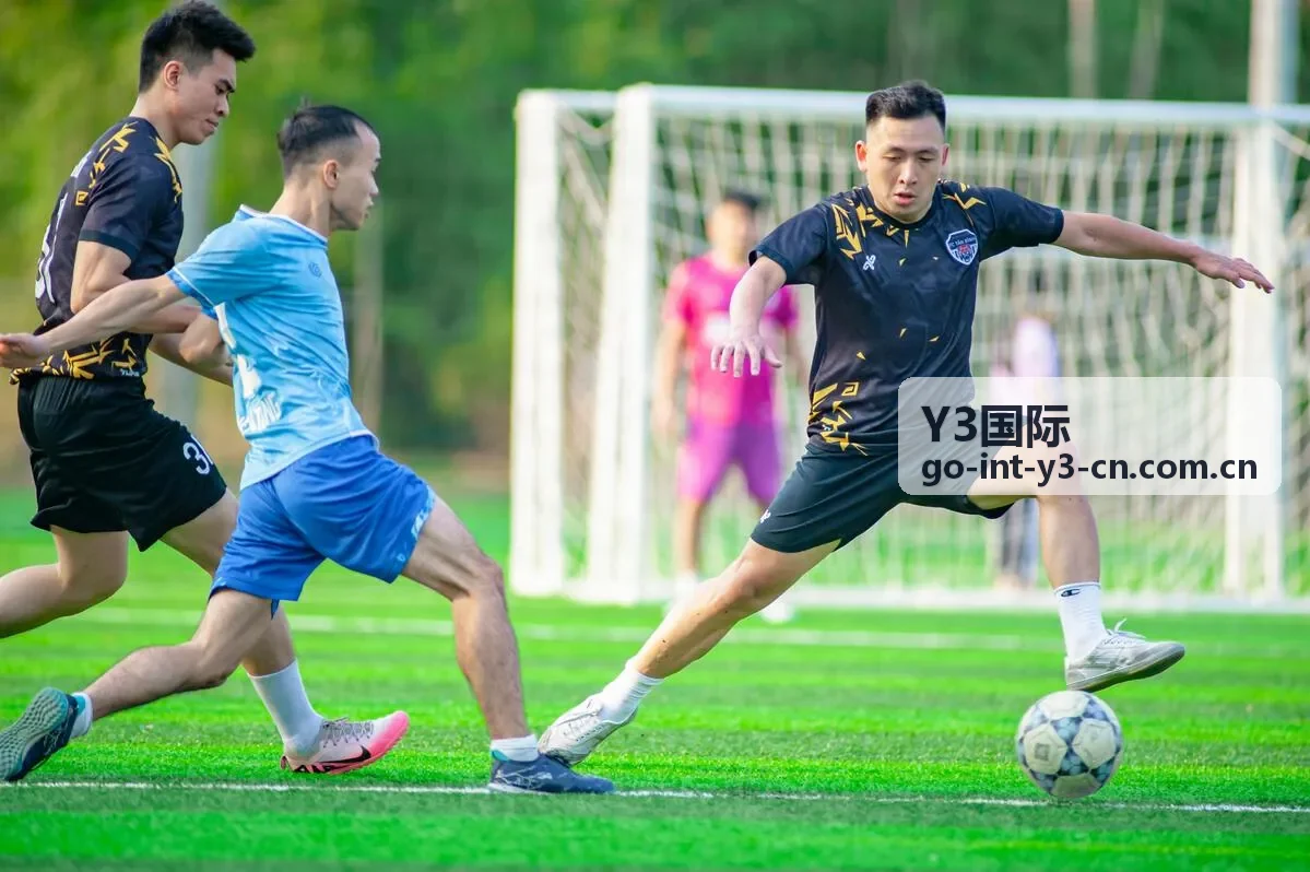 Y3国际安全合规接口